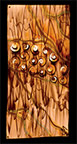"Waves & Fishes", Original, Copper Torched Abstract - Jason Mernick